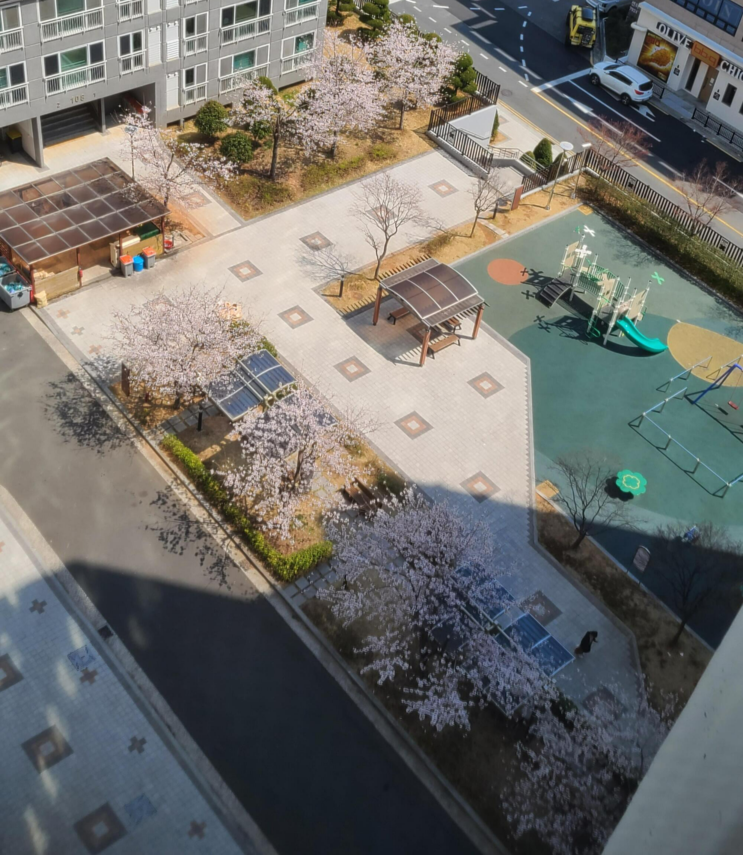 일요일 아침. 봄햇살에 기분이 좋은 고양이들.