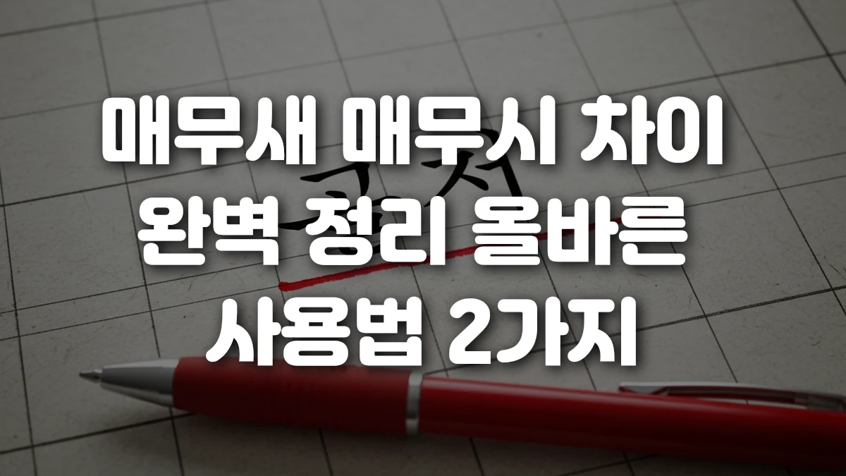 매무새 매무시 차이 완벽 정리 올바른 사용법 2가지