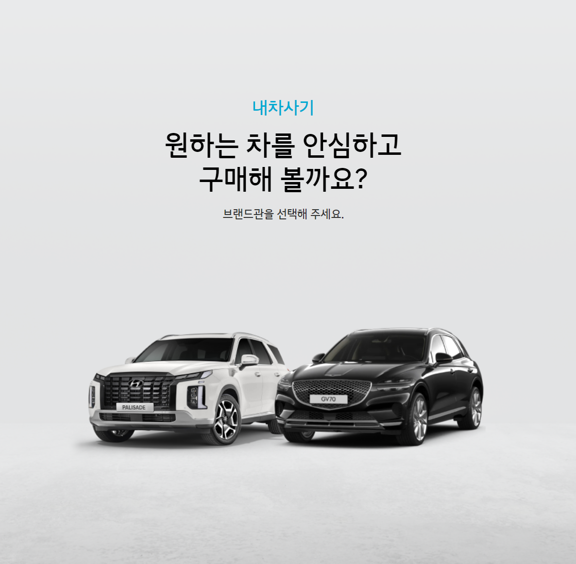 내차사기