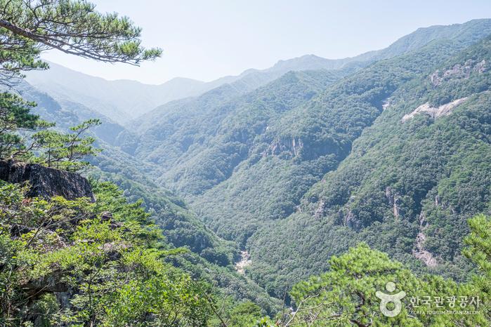 두타산 무릉계곡 베틀바위 청옥산 쌍폭포 트레킹 인생샷 사계절매력 포토스팟 물곰탕 오징어회 곤드레밥
