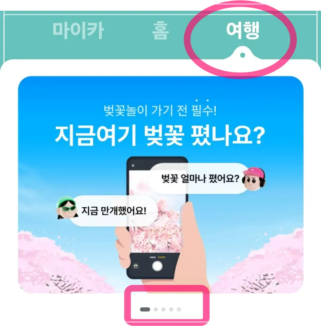 카카오티-벚꽃-알려주는-기능