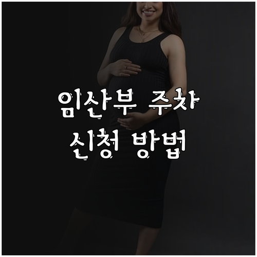 2025 안양시 임산부 자동차표지 하..