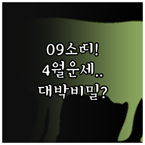 2009년생 고등학생 소띠 4월 운세..