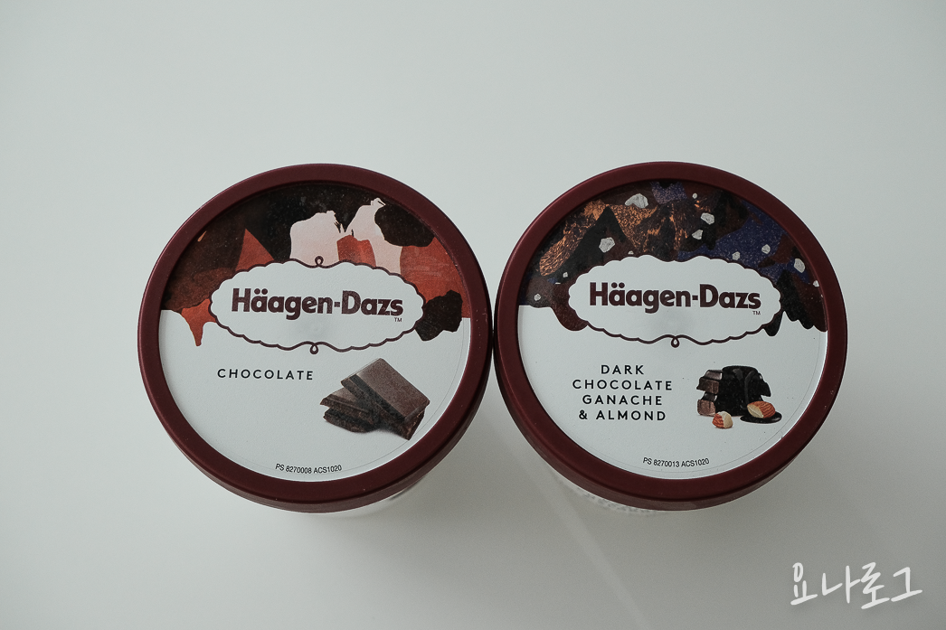 하겐다즈 하겐다즈초콜릿 초코아이스크림 초코디저트 초콜릿디저트 다크초코 다크초콜릿 초콜릿 다크초코아이스크림 다크초콜릿가나슈앤아몬드 내돈내산 내돈내산리뷰 아이스크림리뷰 아이스크림추천 하겐다즈추천 간식 간식추천