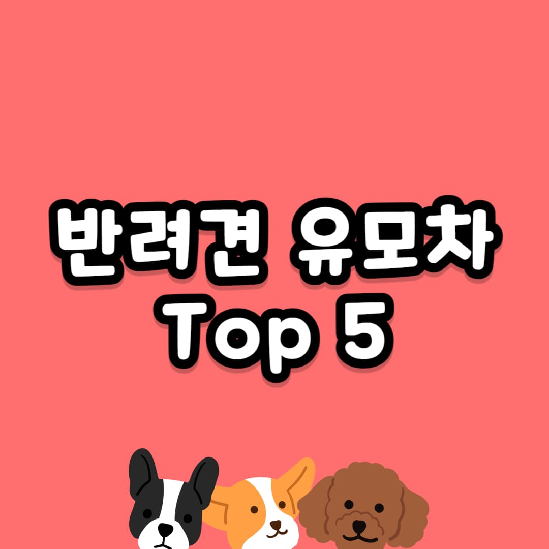 강아지 유모차 추천 순위
