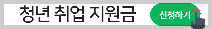 청년 취업지원금 신청버튼