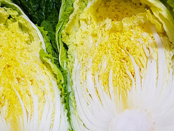 11월 제철음식 배추