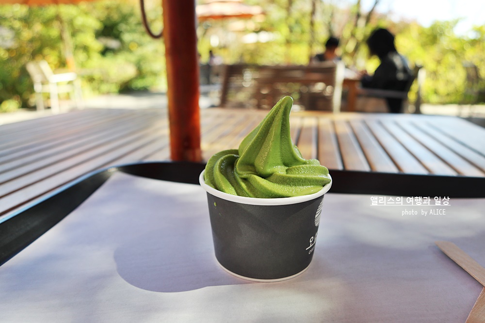 제주 오설록 녹차 아이스크림 50% 할인쿠폰 (~05.15)