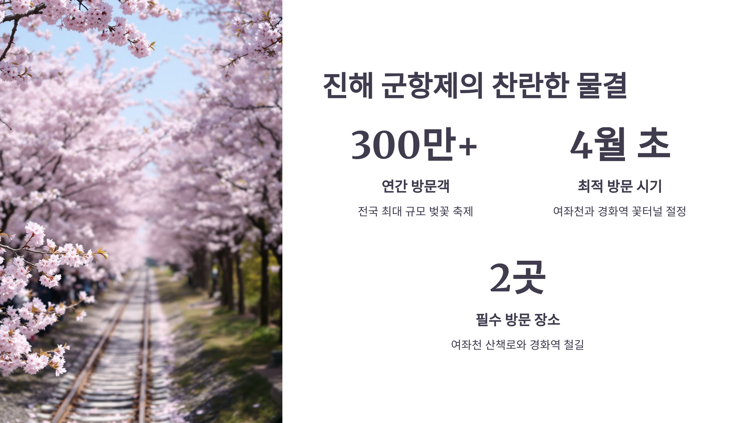 진해 군항제의 찬란한 물결