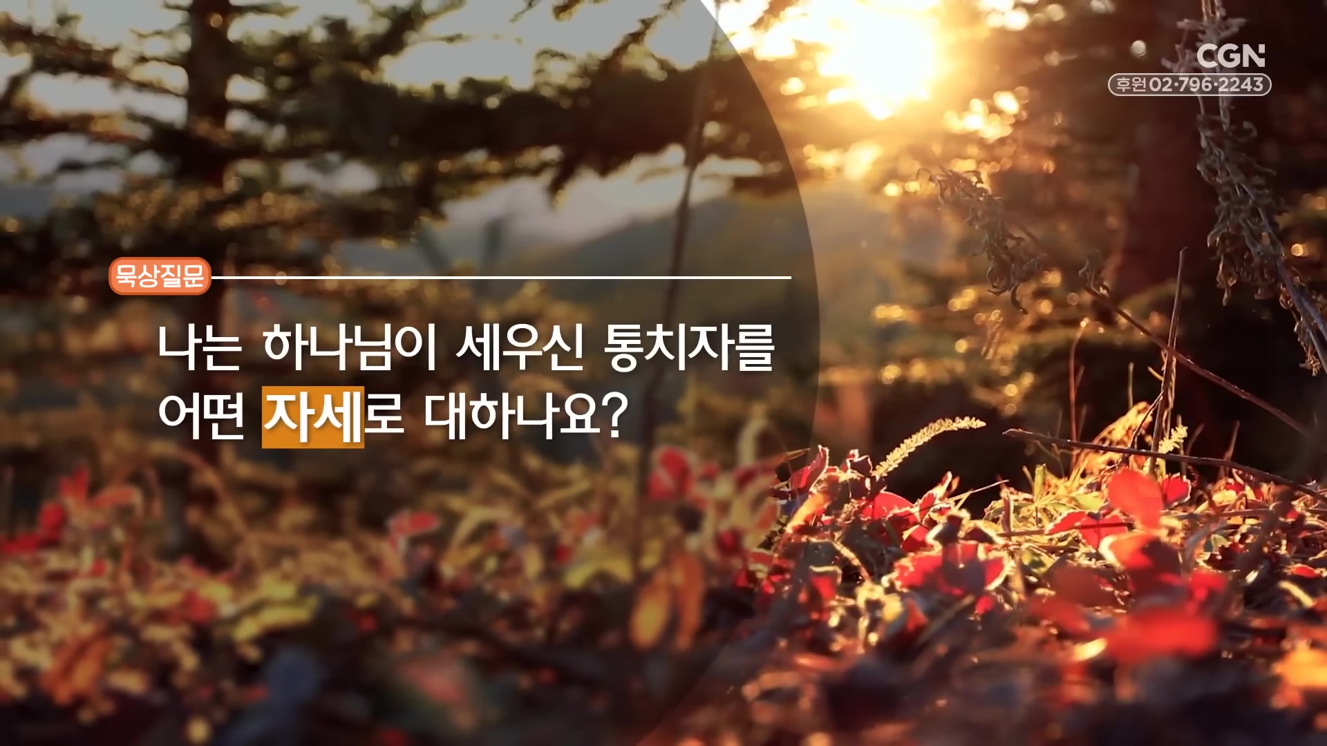 나는 하나님이 세우신 통치자를 어떤 자세로 대하나요?