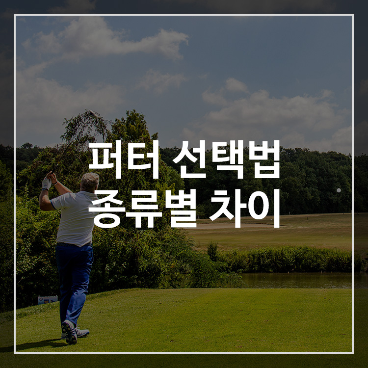 피터 선택 방법과 종류별 차이 알아보기