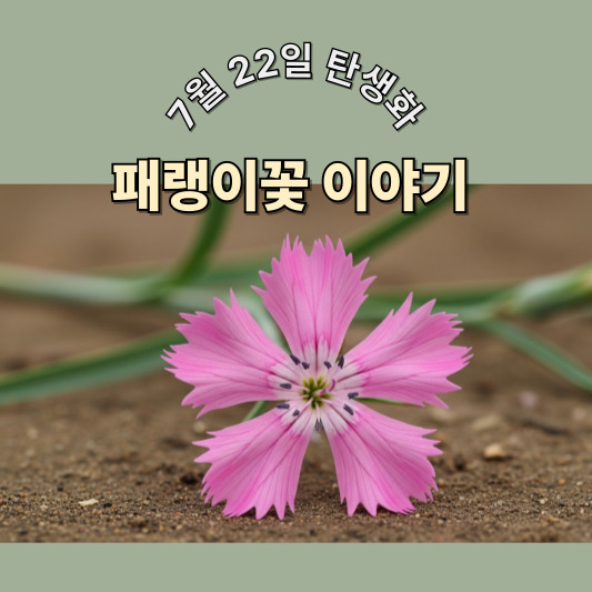 7월 22일 탄생화, 패랭이꽃