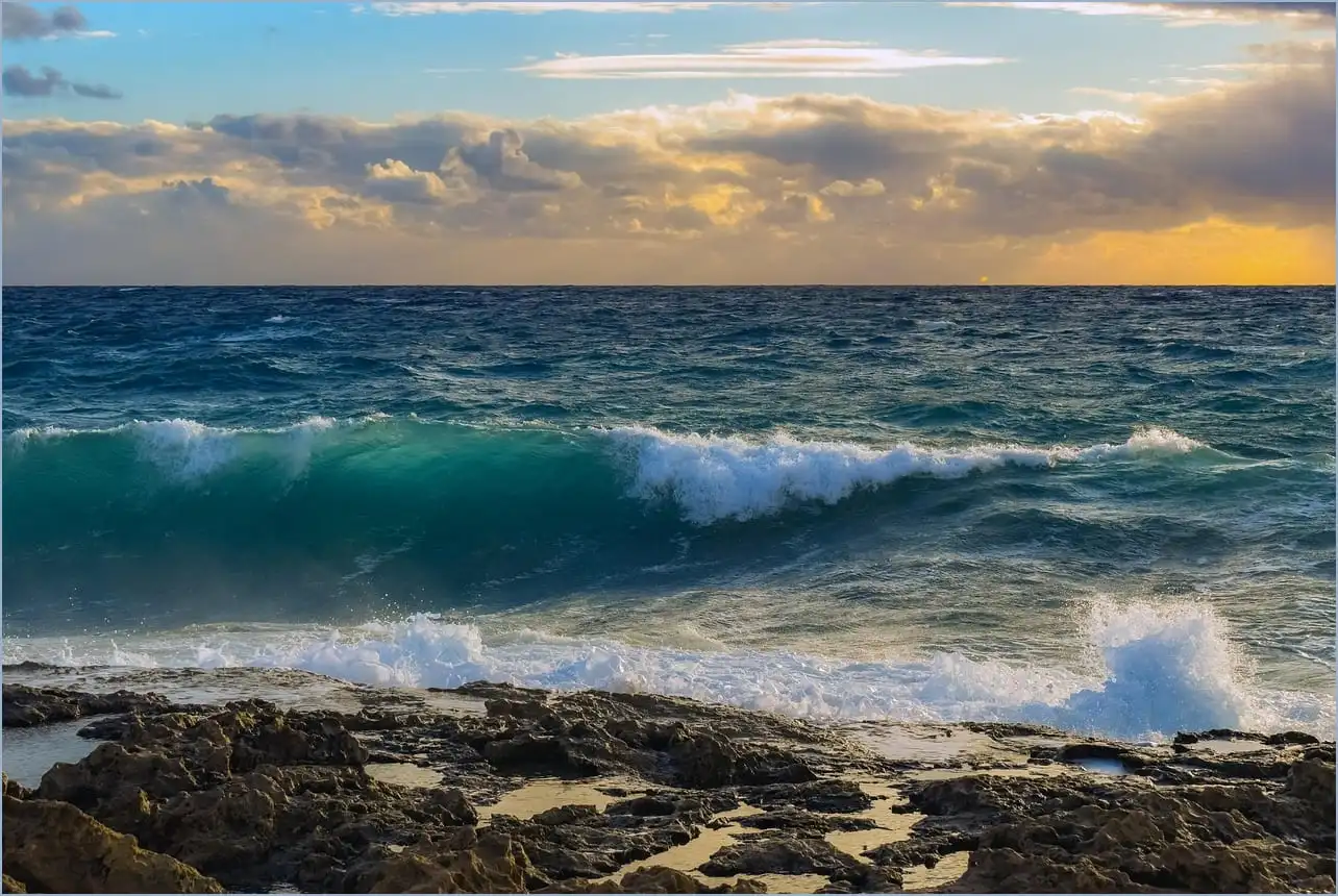 어도비 리더 다운로드