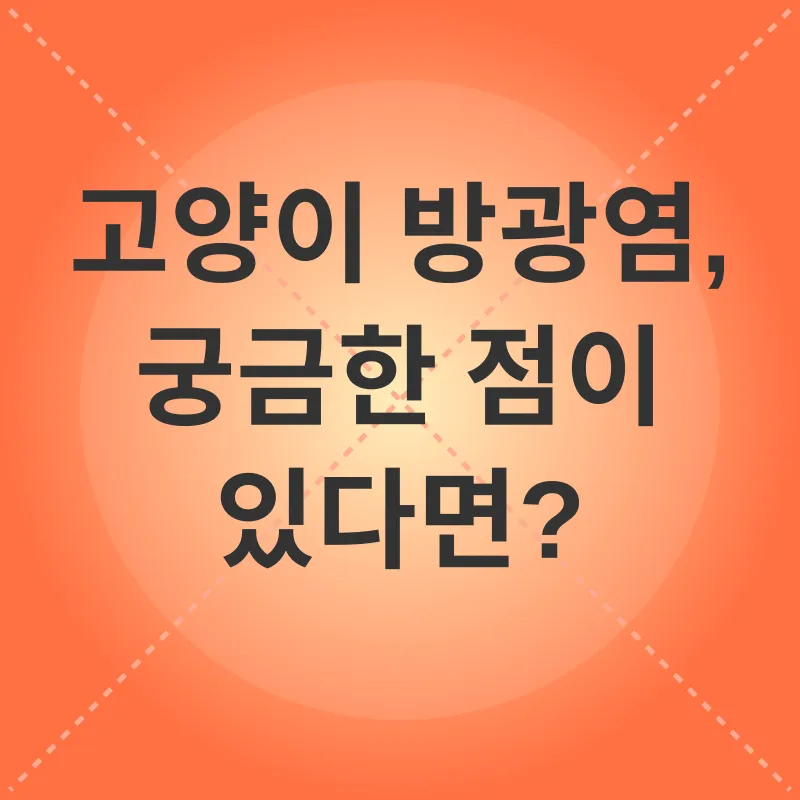 고양이 방광염 관리_4