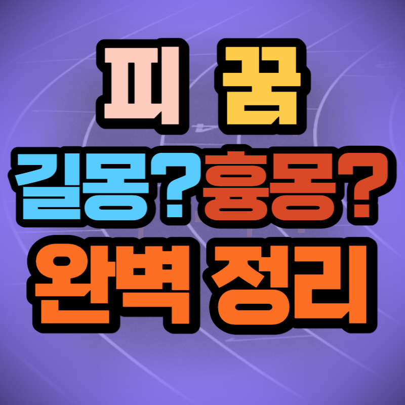 피 꿈해몽(1)