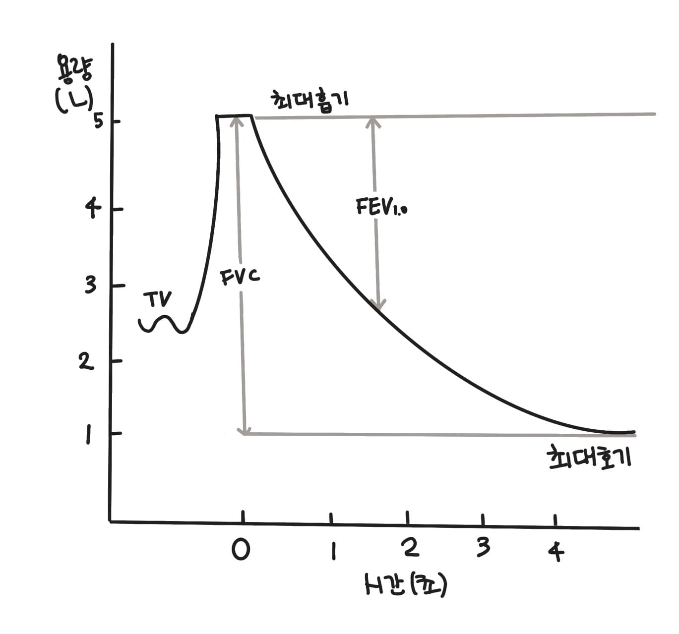 최대 노력성 호기곡선