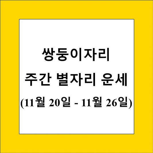 쌍둥이자리 주간 별자리 운세 제목 상자