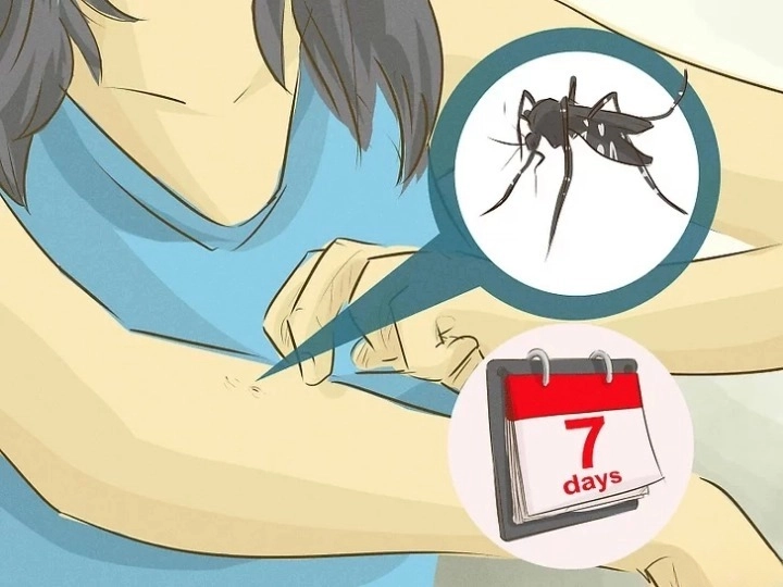 뎅기열 예방접종 증상 전염경로 치료방법 위험국가