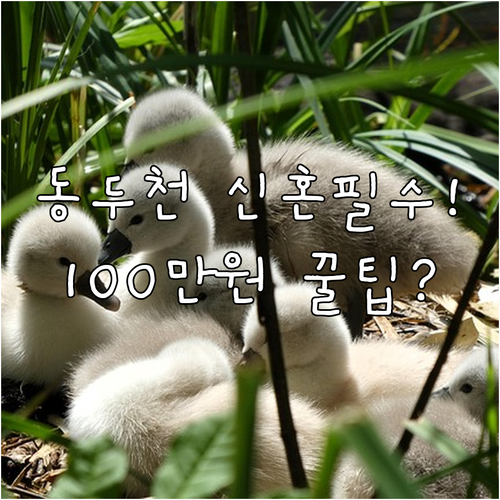 동두천 청년 신혼부부 전월세 대출 이..