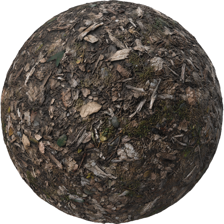 dry forest soil texture