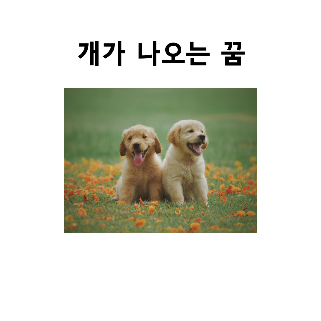 개꿈, 개 나오는 꿈 해몽