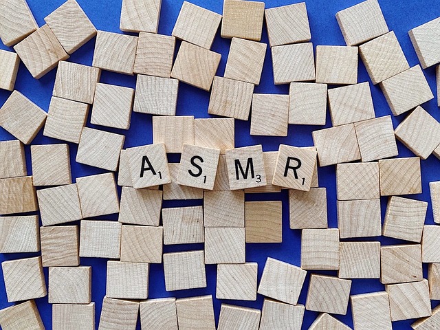 asmr뜻