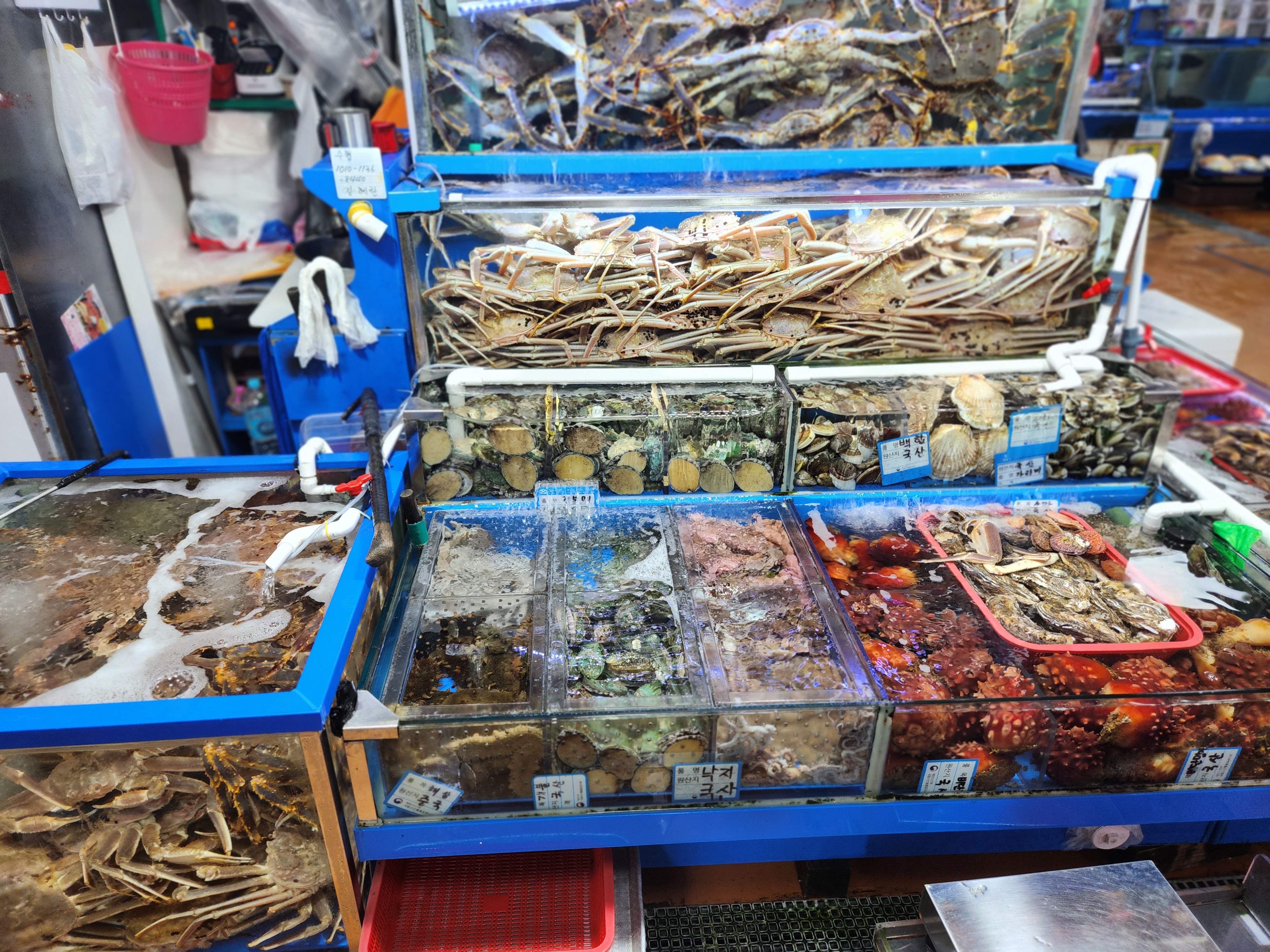 노량진 수산시장