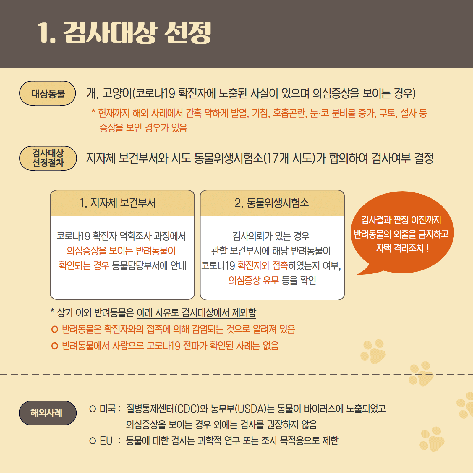반려동물코로나검사
