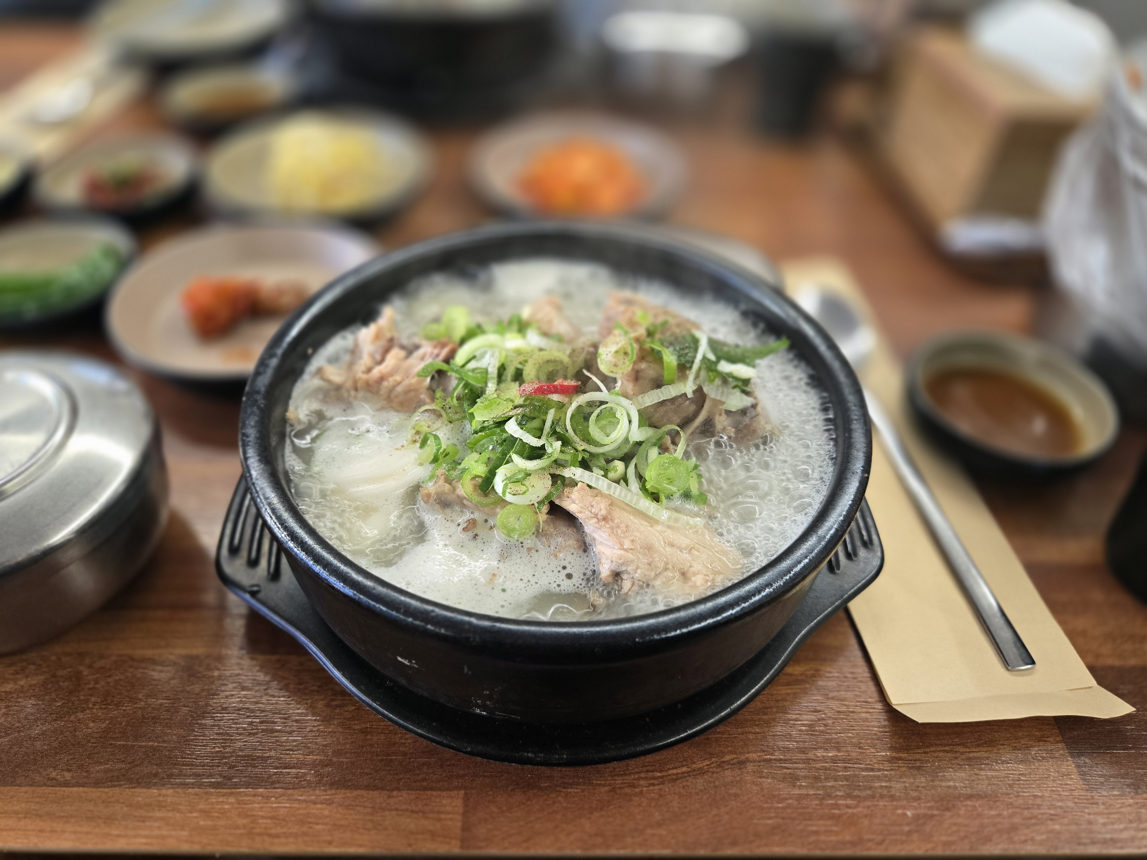 제주 접짝뼛국