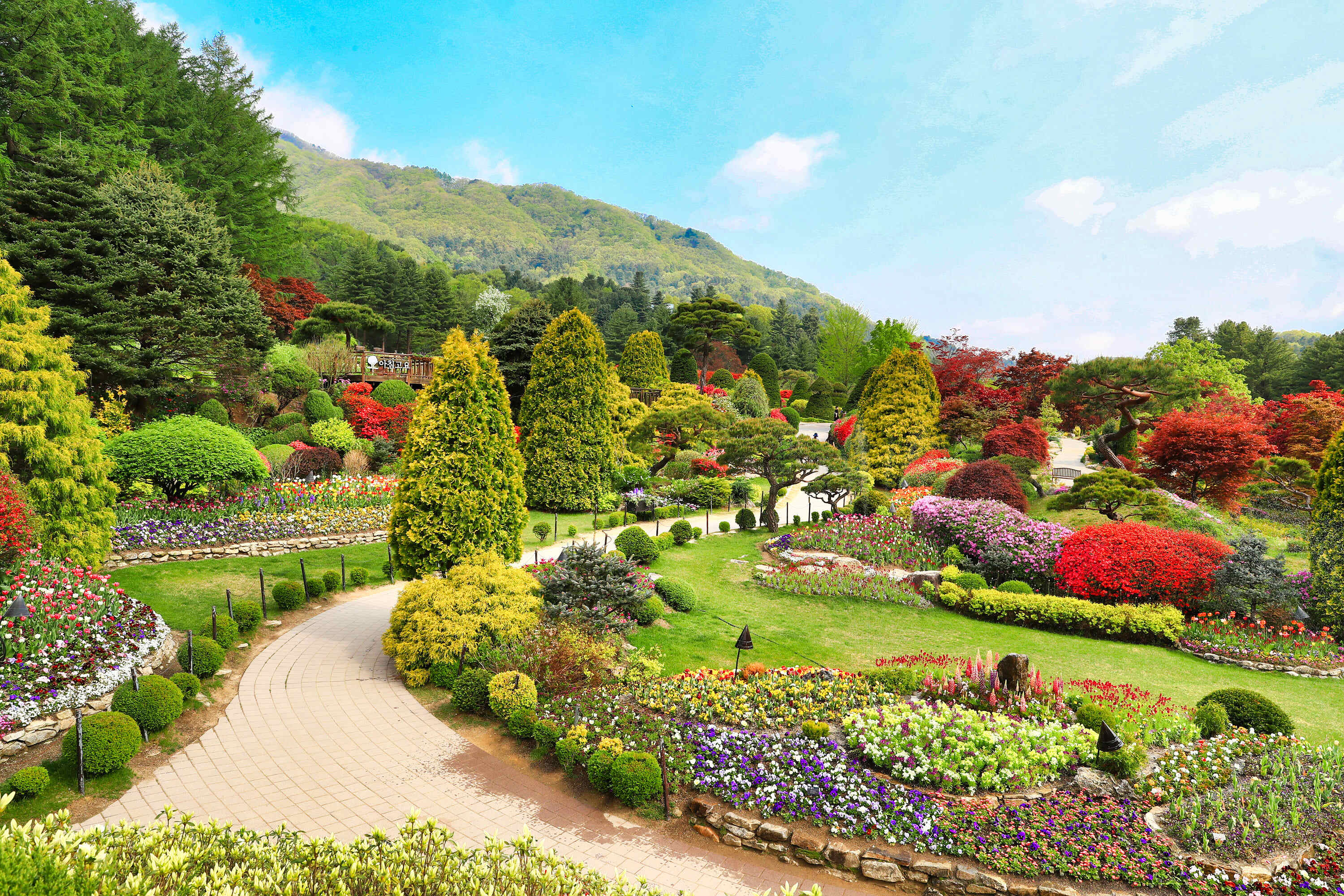 아침고요수목원 봄11