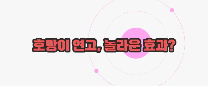 호랑이 연고 효능 한번 체크해보죠