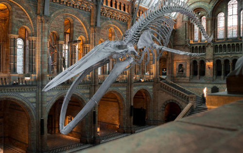 가상 박물관과 메타버스 예술 향유