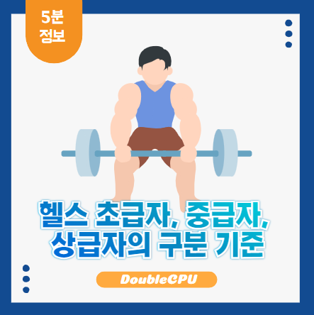 헬스 레벨