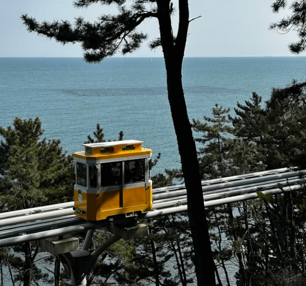해운대 해변열차 &amp;#39;더 라이드&amp;#39; 공연! 부산 이색 여행 지금 예약!