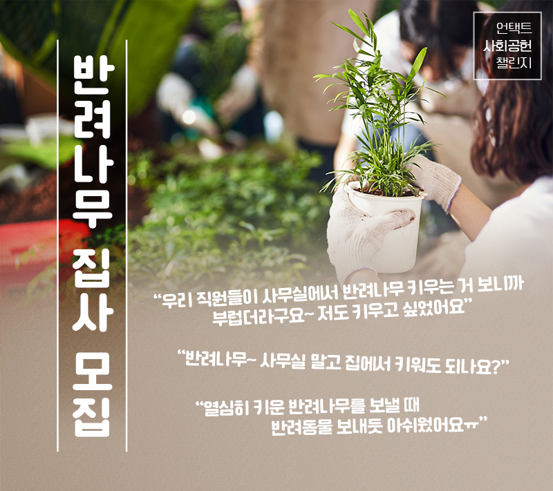 [언택트 사회공헌 챌린지] 반려나무 집사 모집. "우리 직원들이 사무실에서 반려나무 키우는 거 보니까 부럽더라구요~ 저도 키우고 싶었어요", "반려나무~ 사무실 말고 집에서 키워도 되나요?", "열심히 키운 반려나무를 보낼 때 반려동물 보내듯 아쉬웠어요ㅠ"