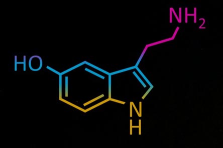 세로토닌-분자