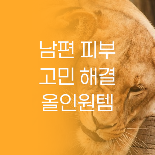 헤라 옴므 올인원 솔직 후기 남편 피