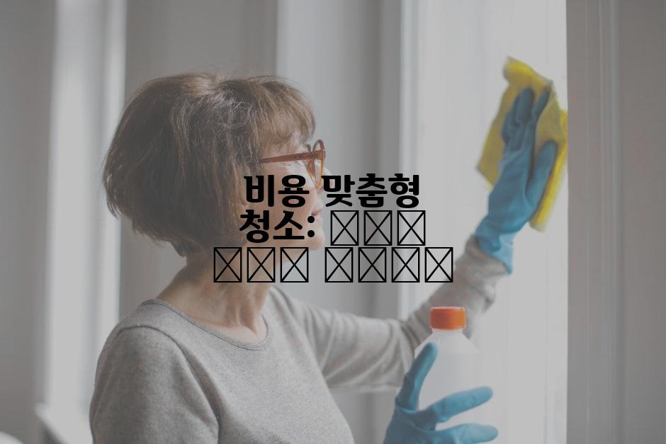 비용 맞춤형 청소: बजट में सफाई