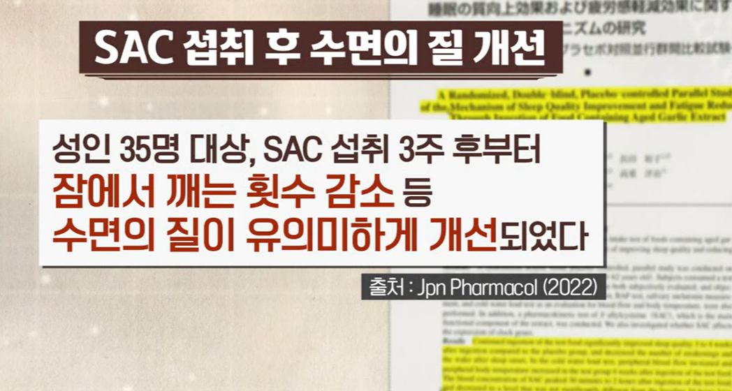 흑마늘 SAC 효능