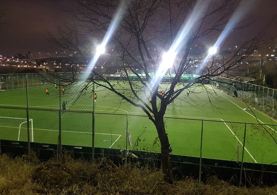 축구 경기장 사진