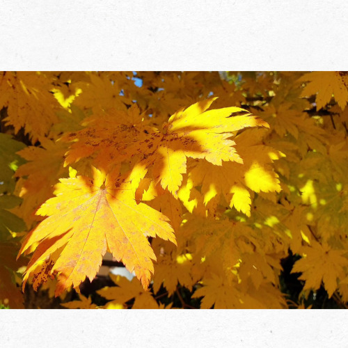 입추 절입 시각을 나타내는 시계 그래픽