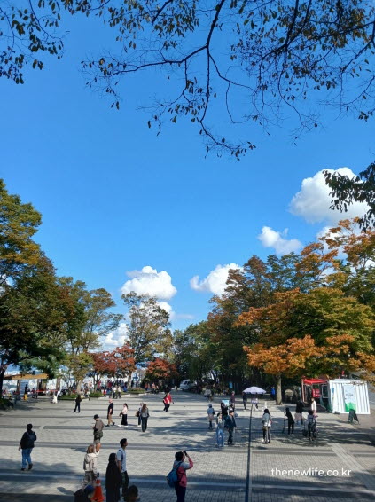 서울 단풍명소 남산타워 광장 단풍과 가을 나들이 인파