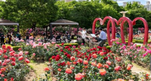 5월 강추 꽃 축제