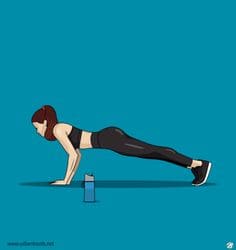 다이어트 보조제