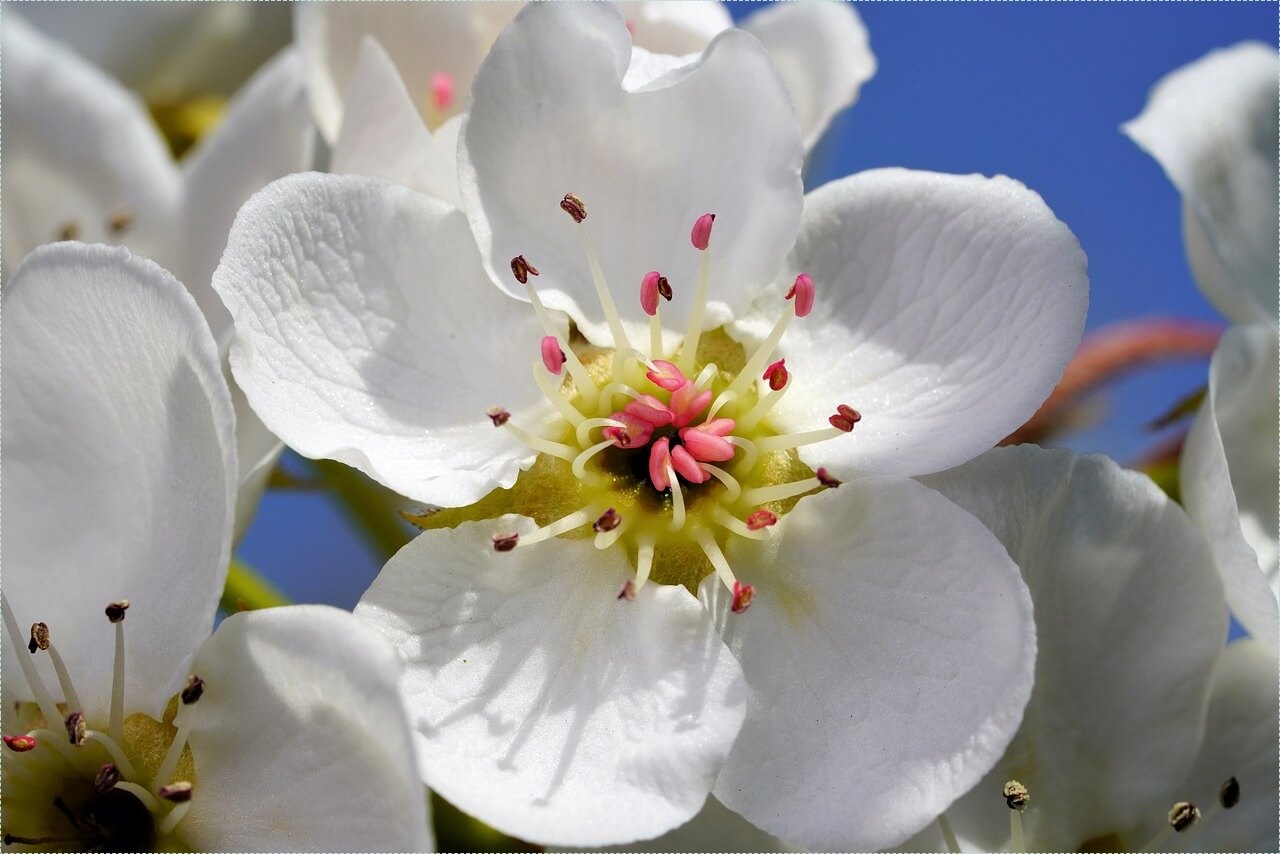 우리은행 정기예금 금리