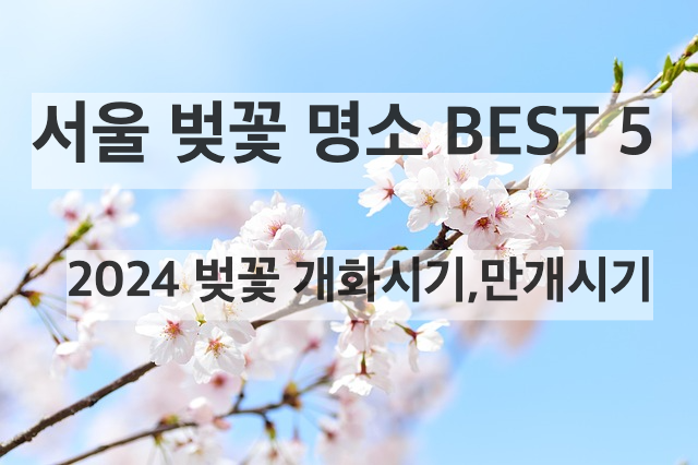 서울 벚꽃명소