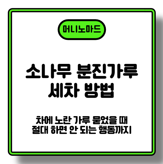 소나무 분진가루 세차 방법|차에 노란 가루 묻었을 때 절대 하면 안 되는 행동까지