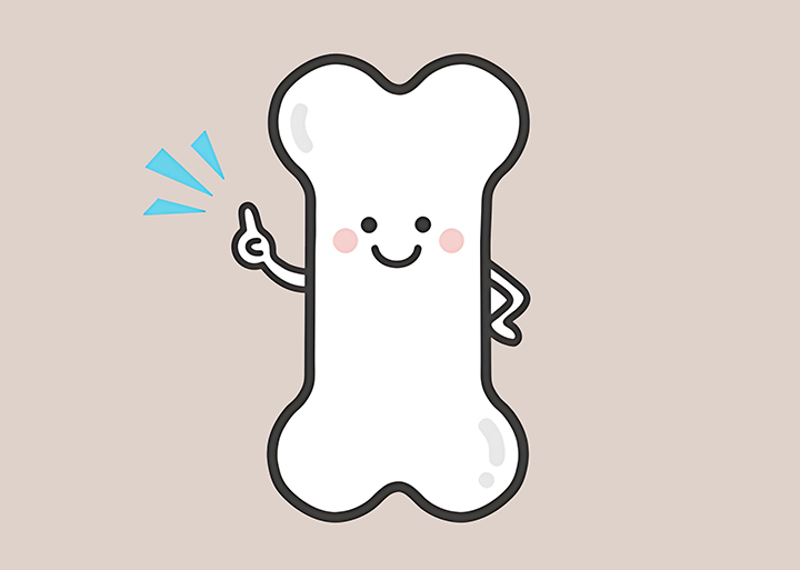 건강한-뼈의-모습