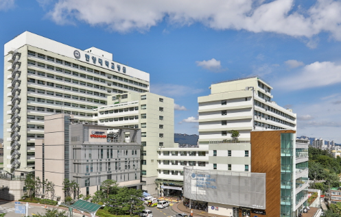 우리동네 일요일에 문 여는 병원 찾기 (전국)