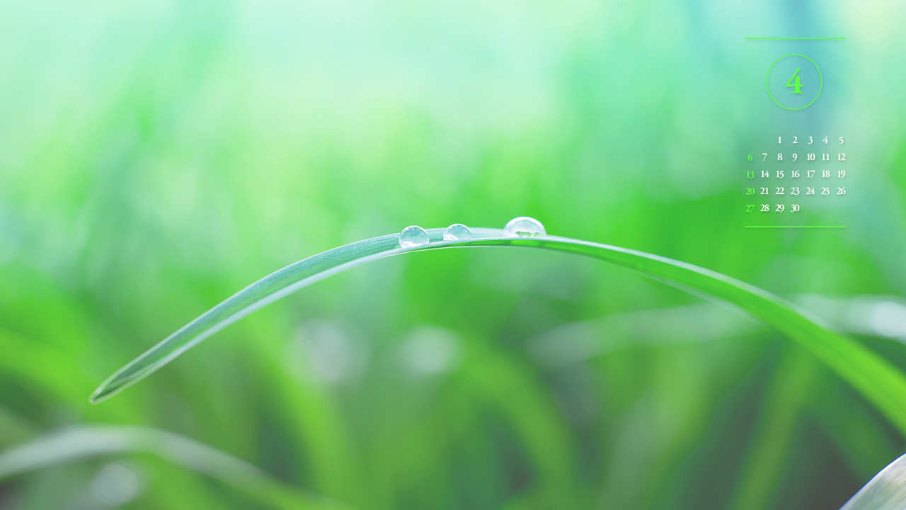 01 풀잎에 맺힌 물방울 A - 2025년4월 노트북배경화면